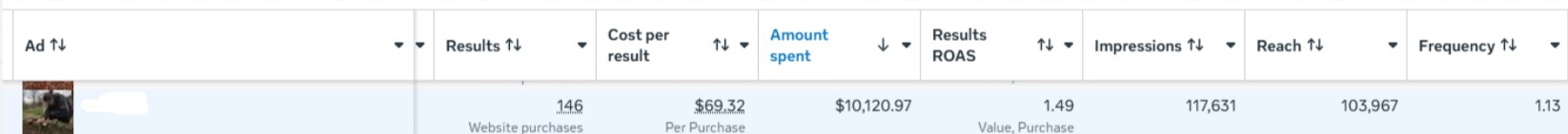 Ads Manager row: $10,120 spent at 1.49 ROAS